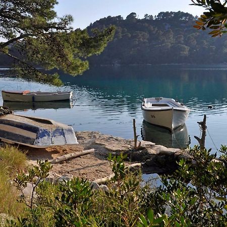 Authentic Ap For 2, Babino Polje,Mljet Apartment Exterior photo