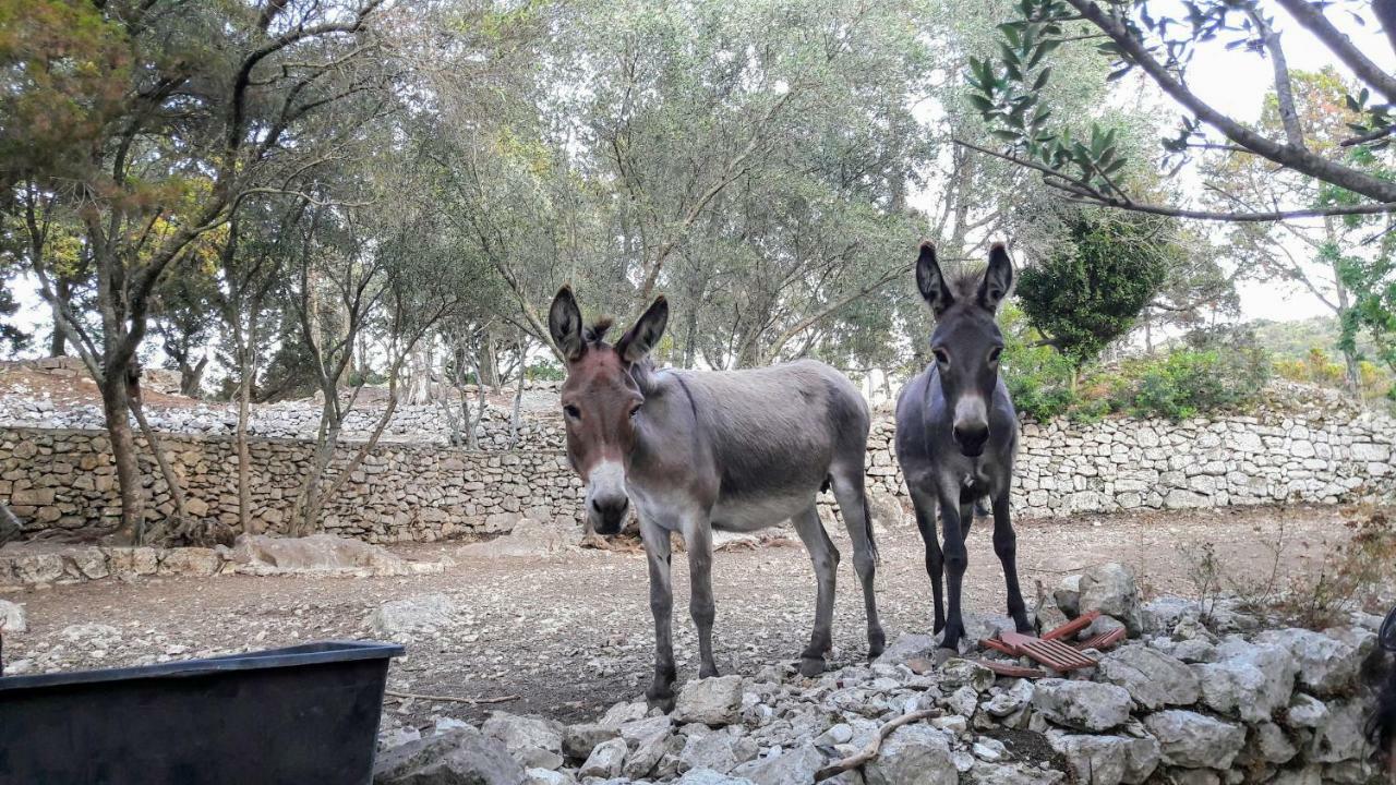 Authentic Ap For 2, Babino Polje,Mljet Apartment Exterior photo
