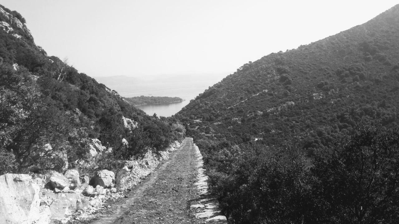 Authentic Ap For 2, Babino Polje,Mljet Apartment Exterior photo