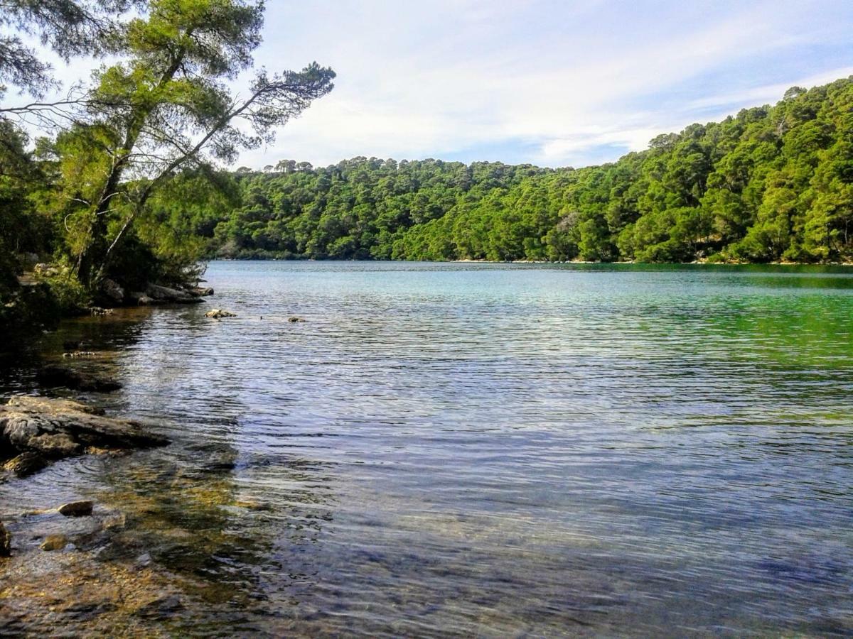 Authentic Ap For 2, Babino Polje,Mljet Apartment Exterior photo