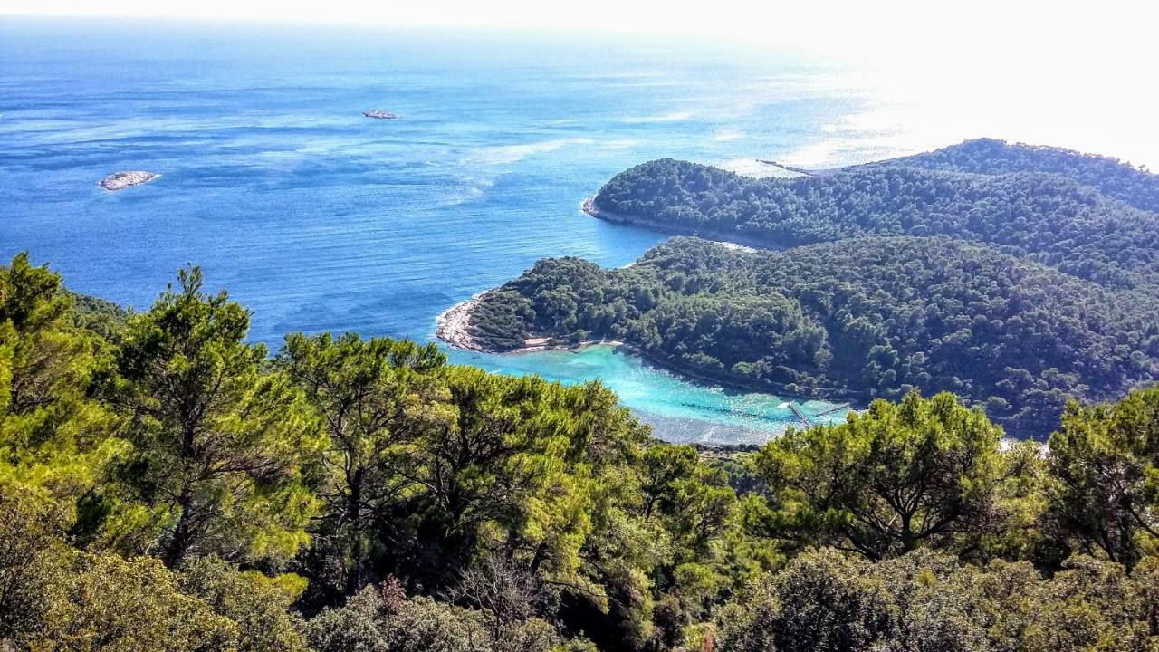 Authentic Ap For 2, Babino Polje,Mljet Apartment Exterior photo