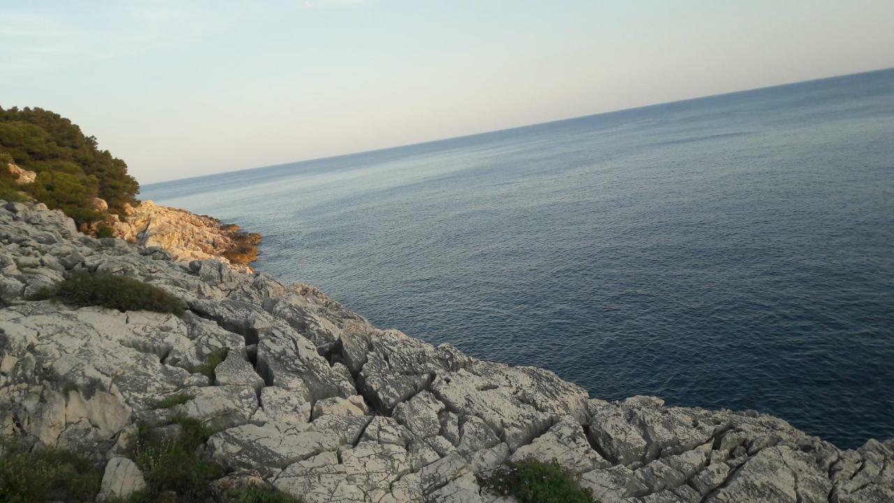 Authentic Ap For 2, Babino Polje,Mljet Apartment Exterior photo